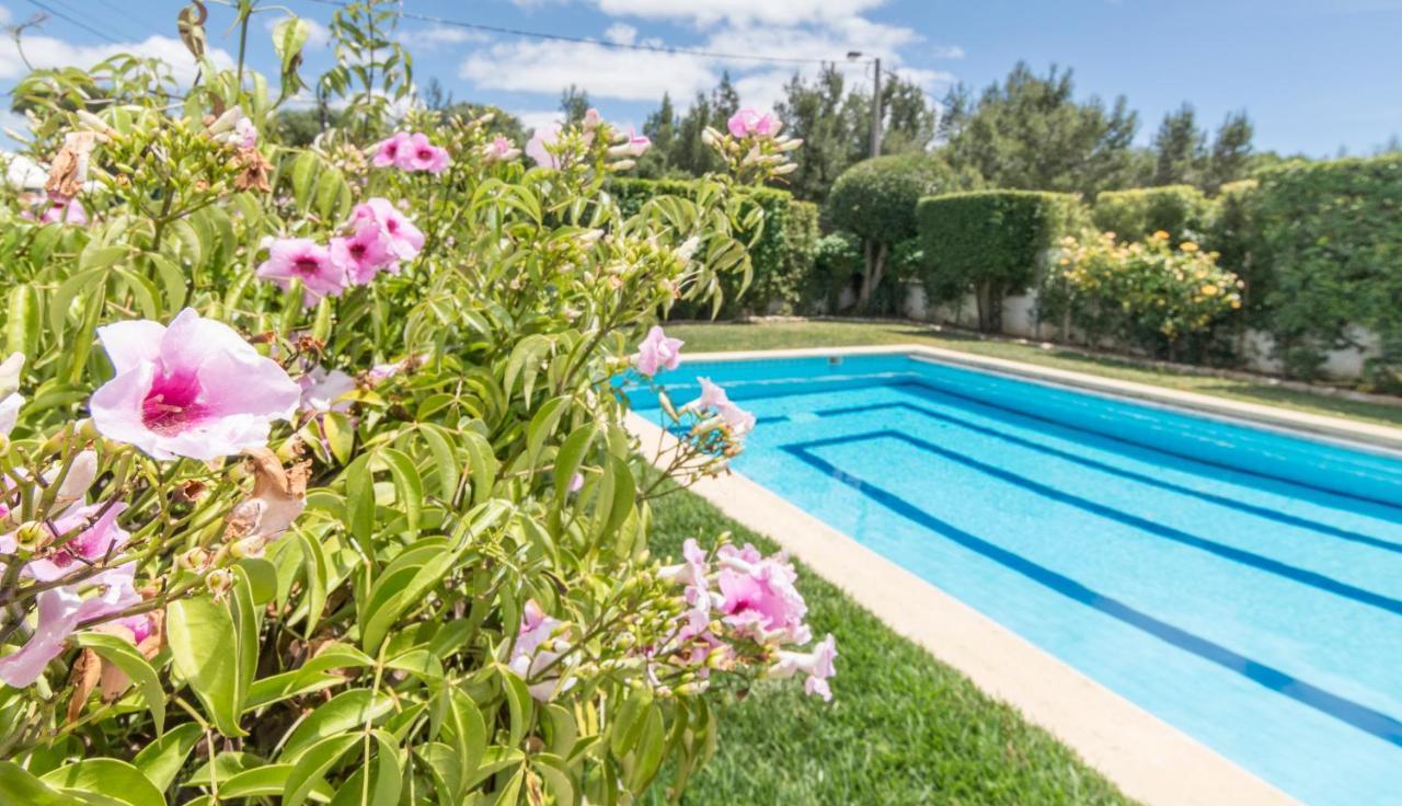 Free Spirit House - Surf&yoga Retreats * Cascais